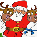 Bandeau noel judo